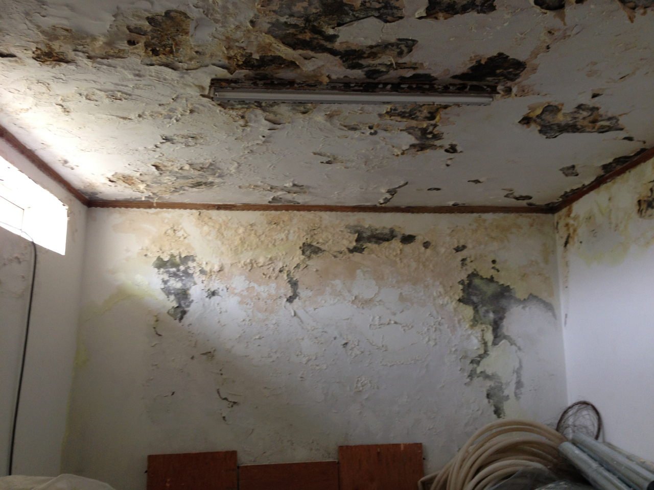 The clinic roof leaking has gotten progressively worse and now several rooms are completely unusable. Repairing the roof will cost $15,000, and is our highest priority this year.